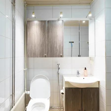 Aurora Night In Рованиеми