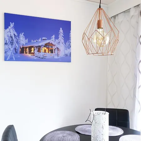 Aurora Night In Holiday home Rovaniemi