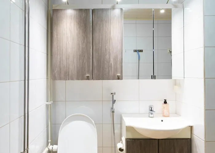 Aurora Night In ロヴァニエミ